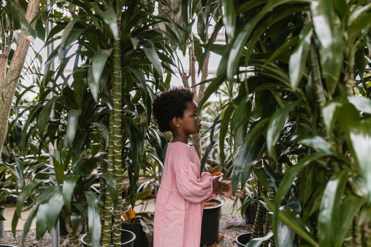 Liilu – Sage Kids